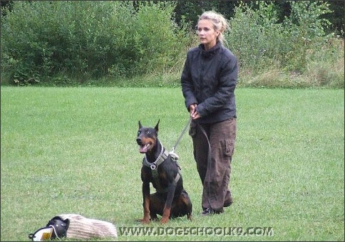 Summer training camp in Estonia 2007